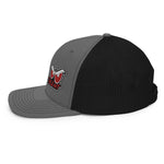 Team Overlooked Eyes Hat